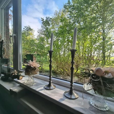 Wohlfuehlurlaub Auf Dem Reit- Und Ferienhof Goldberg Leezdorf Kültér fotó